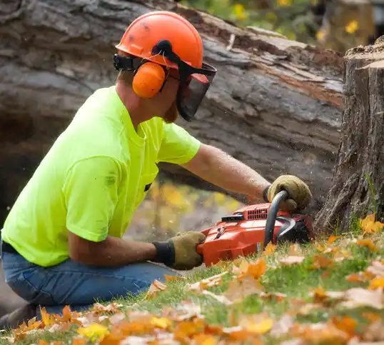 tree services Bowie